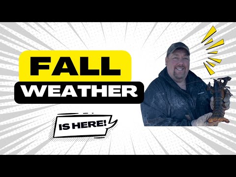 Видео: Наступила осенняя погода! — Лобстерство в штате Мэн