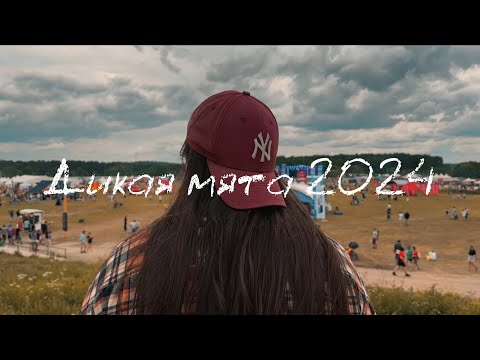 Видео: Дикая мята 2024