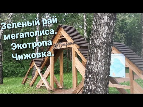 Видео: Экотропа Чижовка. Полный видео обзор.