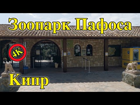 Видео: Пафосский зоопарк | Звери в зоопарке | Отдых на Кипре | Кипр | Пафос