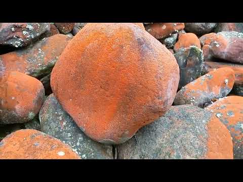 Видео: Камни слезами кровавыми плачут...