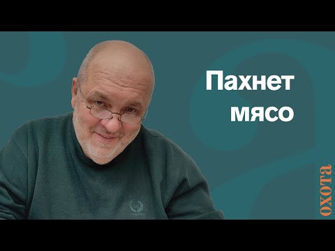 Видео: Пахнет мясо. Валерий Кузенков, что пахнет в гон?