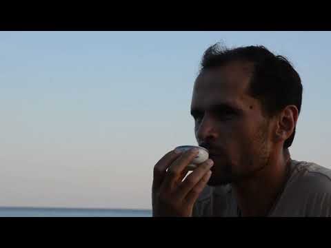 Видео: Что такое: "С помощью чая питаешь жизнь"?!