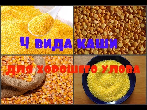 Видео: ПРИКОРМКА НА ЛЕЩА И КРУПНУЮ БЕЛУЮ РЫБУ.