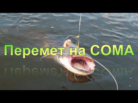 Видео: Перемёт на СОМА  от А до Я.