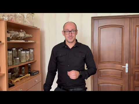 Видео: День учителя 9а класс