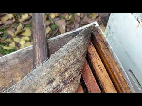 Видео: Мой вариант зимней вентиляции в ульях ППУ и лежаках.