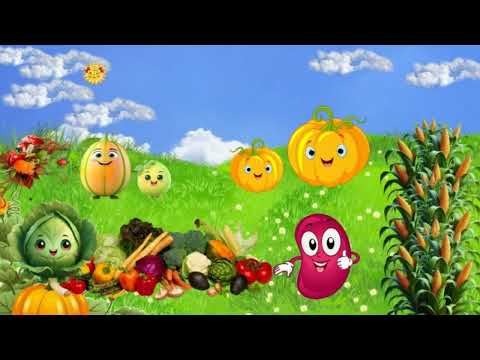 Видео: Осінні загадки 