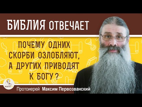Видео: ПОЧЕМУ ОДНИХ СКОРБИ ОЗЛОБЛЯЮТ, А ДРУГИХ ПРИВОДЯТ К БОГУ ?  Протоиерей Максим Первозванский