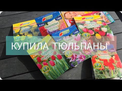 Видео: НЕБОЛЬШОЙ ОБЗОР С ДАЧИ🏠ДАЧНЫЙ БЛОГ#дача#огородкруглыйгод#огород#цветы#тюльпаны#нашадача#загородом