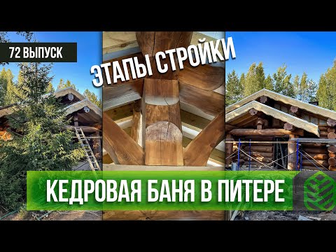 Видео: КЕДРОВАЯ БАНЯ В ПИТЕРЕ. ЭТАПЫ СТРОЙКИ/бревенчатая баня/банный комплекс/сруб для бани/ручная рубка
