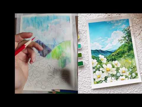Видео: цветы цветными карандашами 2