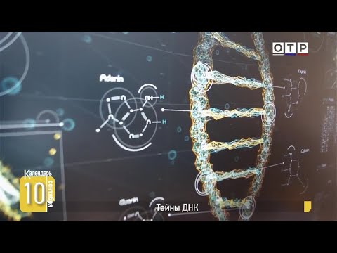 Видео: Тайны ДНК: От генетических отпечатков до секретов жизни