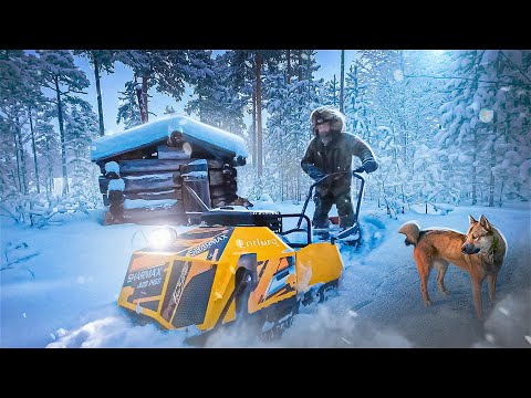 Видео: РЫБАЦКАЯ ИЗБУШКА В ЛЕСУ. В ИЗБУ НА МОТОСОБАКЕ SHARMAX SE500 1450 HP20 ENDURO. РЫБАЛКА НА ДИКОМ ОЗЕРЕ
