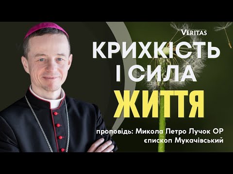 Видео: Крихкість і сила життя. Проповідь: Микола Петро Лучок ОР, єпископ Мукачівський