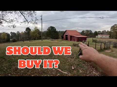 Видео: Экскурсия по нашему усадьбе мечты