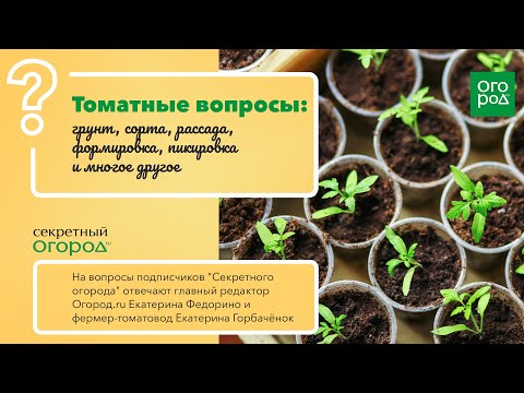 Видео: 14 вопросов про томаты - фермер и главный редактор Огород.ru отвечают на вопросы читателей