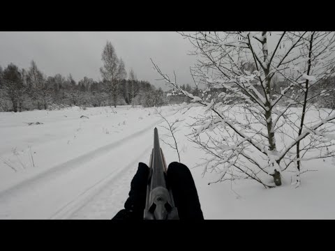 Видео: 29 декабря 2023г. Охота на зайца с рг Баяном.