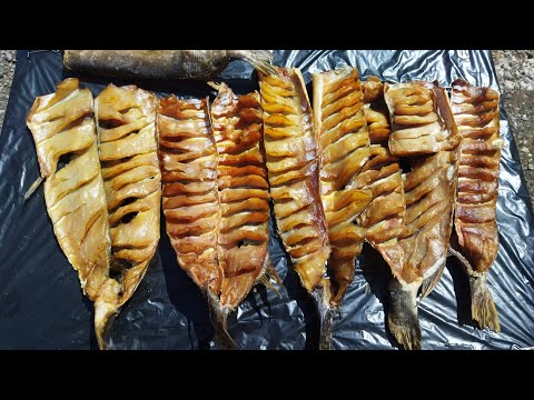 Видео: Юкола из щуки. Вкусный рецепт в домашних условиях. Smoked fish