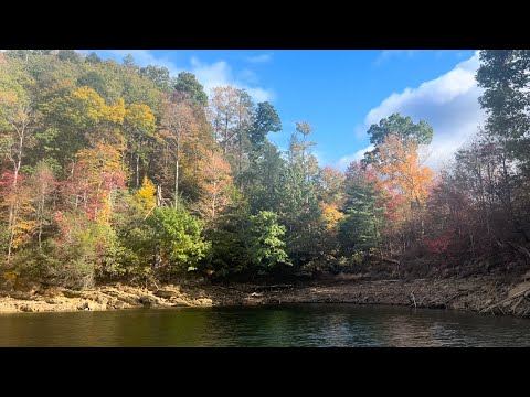 Видео: Тыквенный декор, тыквенные сладости и меняющиеся листья 🍁