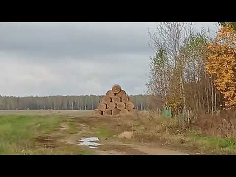 Видео: Переехала ИЗ МУРМАНСКА в БЕЛОРУССКУЮ  ДЕРЕВНЮ... И не ЖАЛЕЮ!!!)))