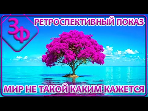 Видео: Ретроспектива 11-23 | Мир не такой каким кажется | Истории наших зрителей