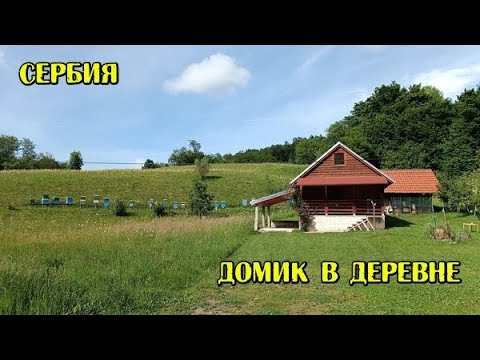 Видео: Жизнь в Сербии.  Уехать из города на ПМЖ в деревню на горах в лесу?