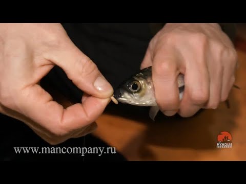 Видео: Первая Рыбалка На РИПУСА в декабре на озере ИНГОЛЬ!!! Открыли сезон в Тёплой будке на ЛЬДУ!!!