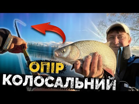 Видео: Як зловити МОНСТРІВ ДЕСНИ? Осінній Фідер! Шалені РИВКИ та КЛЮВАКИ!