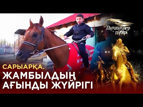 Видео: Сарыарқа. Жамбылдың ағынды жүйрігі. «Дүлдүлдер дүбірі». Бәйге