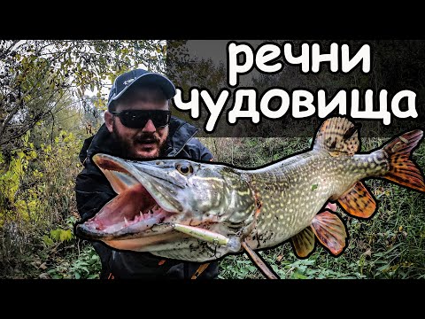 Видео: РЕЧНИ ЧУДОВИЩА. Риболов на Кефал и Щука край река Янтра