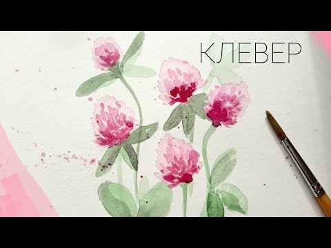 Видео: Акварель для начинающих.  Как нарисовать КЛЕВЕР. Летние рисунки