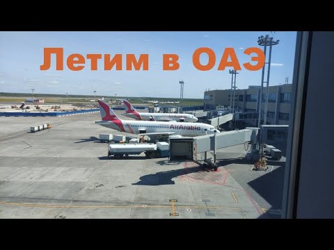 Видео: Летим на море в Эмираты. Богатый бизнес-зал Домодедово. Наши планы. Почему не Турция?