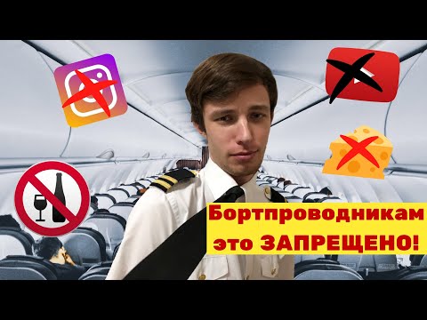 Видео: Это запрещено всем бортпроводникам! Смотри перед собеседованием