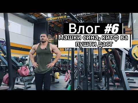 Видео: Памп ва қувват: Сина | Китф | Трицепс | Влог 6