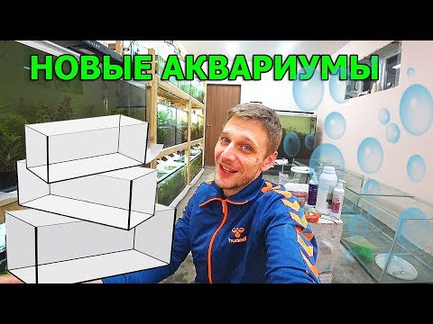 Видео: Приехали новые аквариумы
