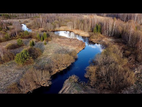 Видео: ЛОВЛЯ ЩУКИ на МАЛОЙ РЕКЕ / РЫБАЛКА на СПИННИНГ с БЕРЕГА