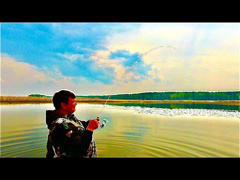 Видео: Приманки на окуня сработали. Эту рыбалку я запомню надолго...