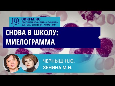 Видео: Черныш Н.Ю., Зенина М.Н.: Снова в школу: миелограмма