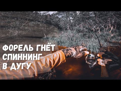 Видео: ФОРЕЛЕВАЯ РЫБАЛКА В КАРЕЛИИ. Нашли форелевое эльдорадо. Трофейная форель гнет спиннинг в дугу.