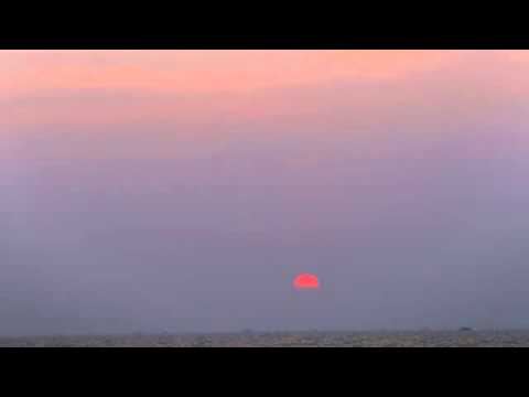 Видео: МС - МОГА САМ