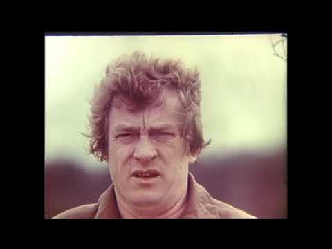 Видео: 22 октября 2025 г.