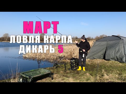 Видео: Карпфишинг 2024. Как ловить карпа ранней весной.  Как ловить в марте по холодной воде