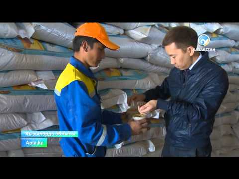 Видео: Қазақ кәсіпкерлері өндірген күріш Ресейге экспортталуда