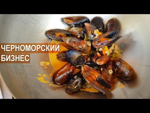 Видео: Черноморский бизнес. Мидии и устрицы. Ферма на море