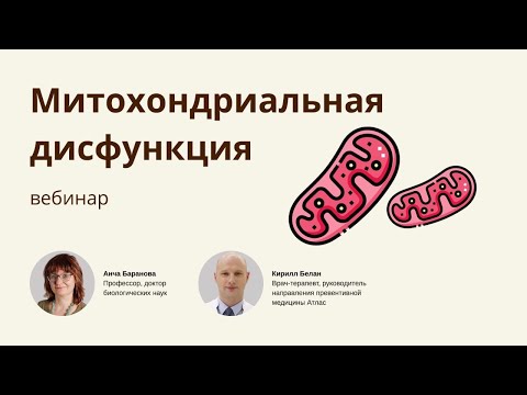 Видео: МИТОХОНДРИИ с БЕЛАНОМ ПРЕКРАСНЕЙШИМ!