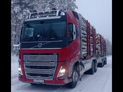 Видео: Лесовозы Вольво на новой делянки. Никогда такова не было и тут опять...