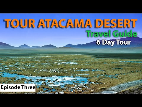 Видео: GEYSERS DEL TATIO | Замерзшие болота Драйв | Долина Смерти | Экскурсия по ПУСТЫНЕ АТАКАМА (3)