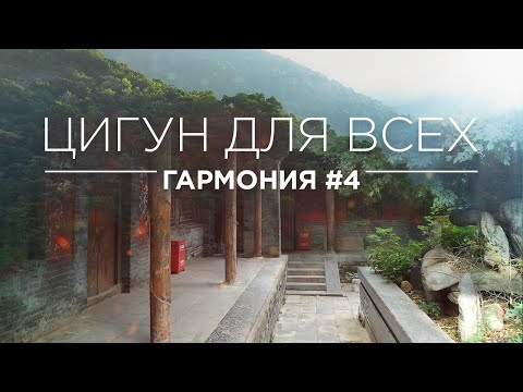 Видео: ЦИГУН ДЛЯ ВСЕХ - ГАРМОНИЯ #4
