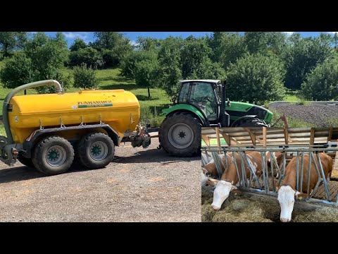 Видео: Ферма в Германии.Ответы на вопрос.